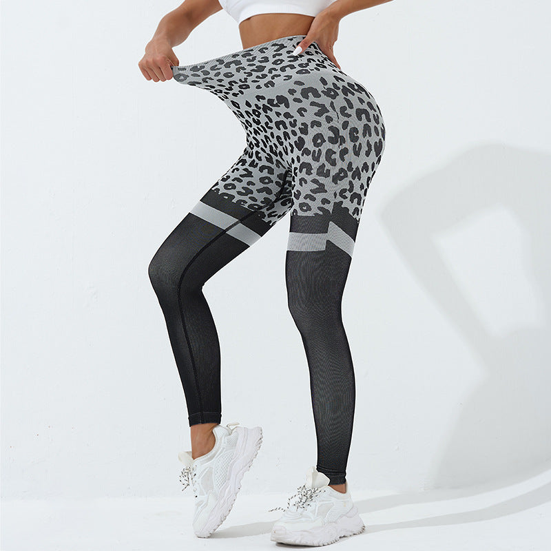 6ec2d0b01cc24945ad42edaf9d0aada6